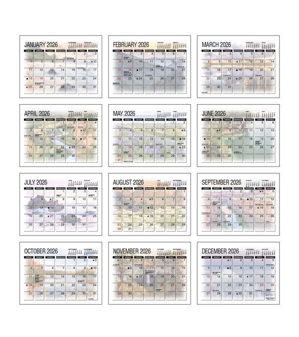 America's Beauty Desk Calendar 2026