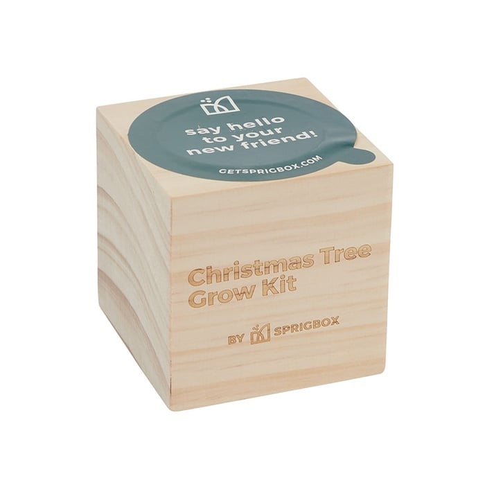 Sprigbox Christmas Tree Grow Kit