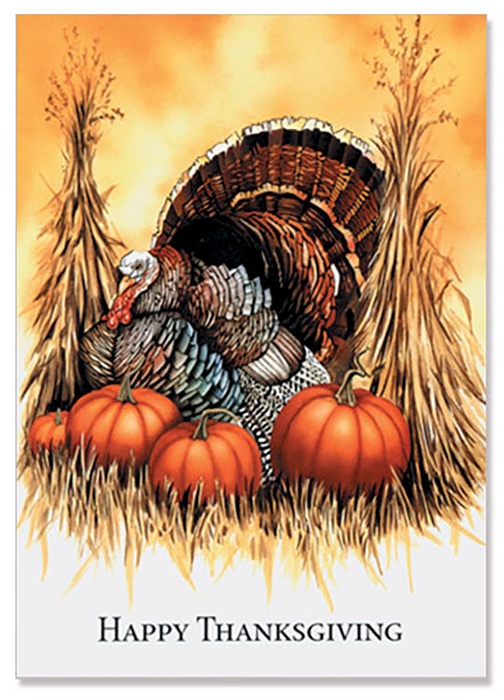 Turkey & Pumpkins Thanksgiving Greeting Card