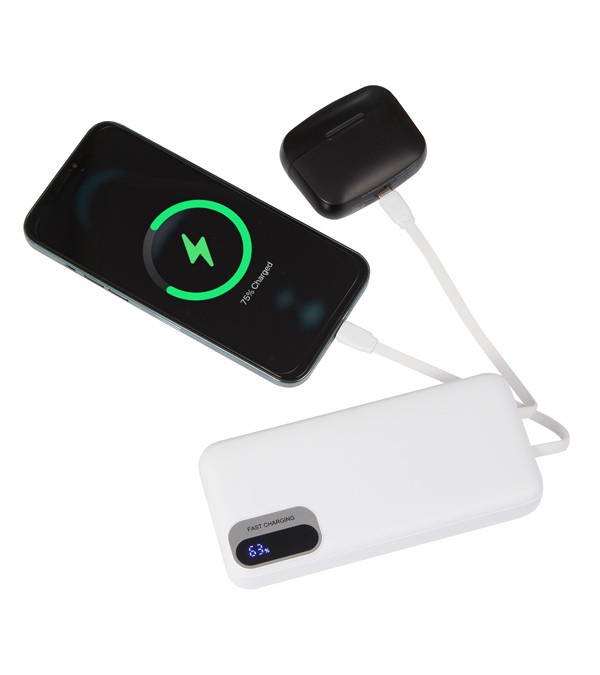 Laptop Power 20,000 mAh PD Power Bank with Cables