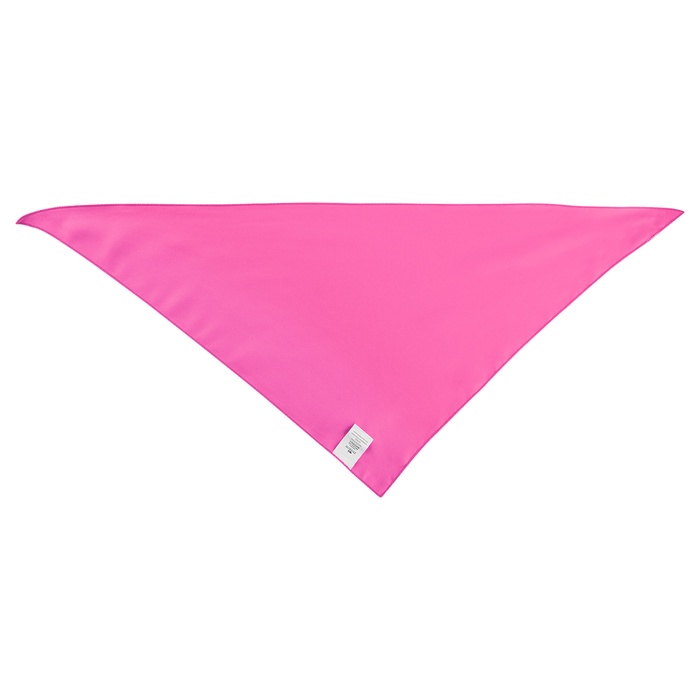 Large Triangle rPET Pet Bandana