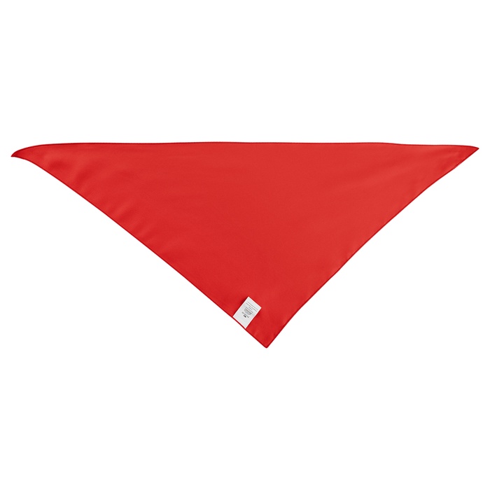 Large Triangle rPET Pet Bandana