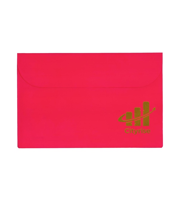 Standard Underarm Portfolio