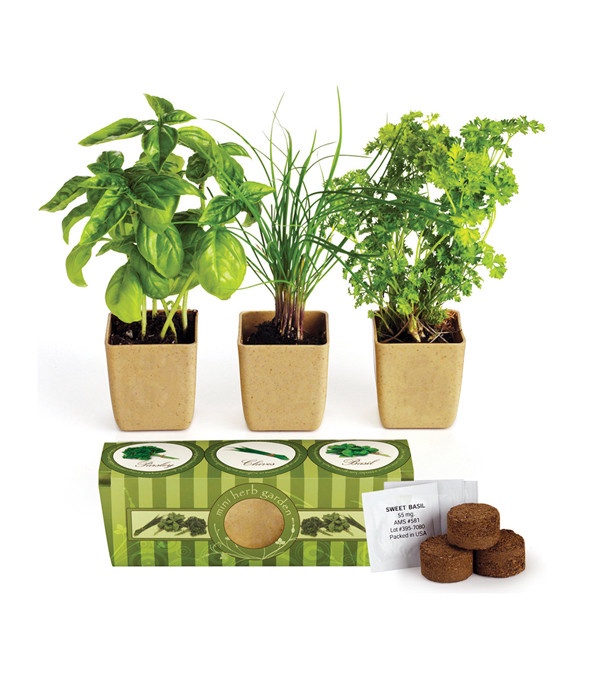 Growpot Eco-Planter Herb 3-Pack