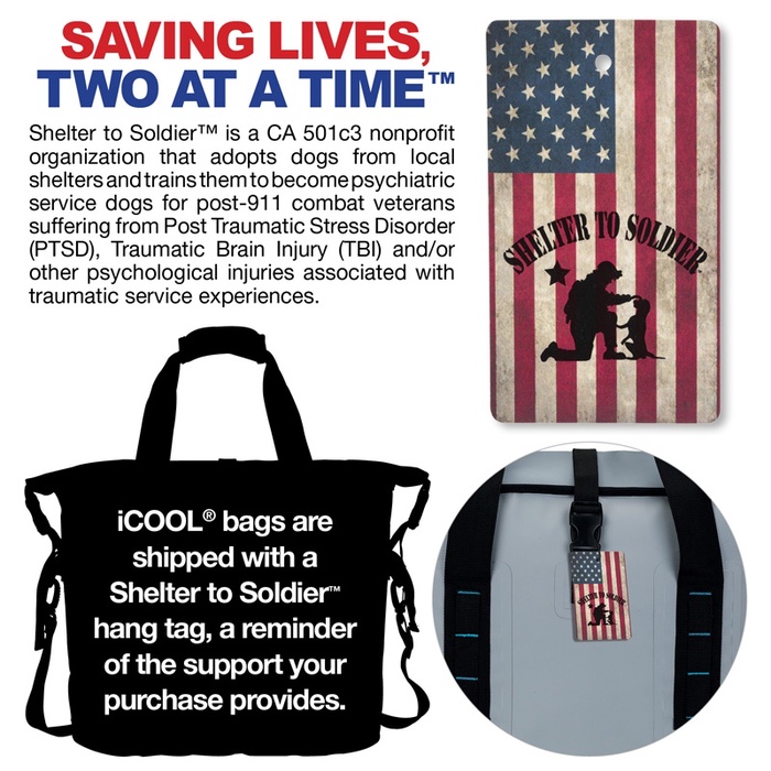 iCOOL® Sandpointe 36-Can Cooler Tote