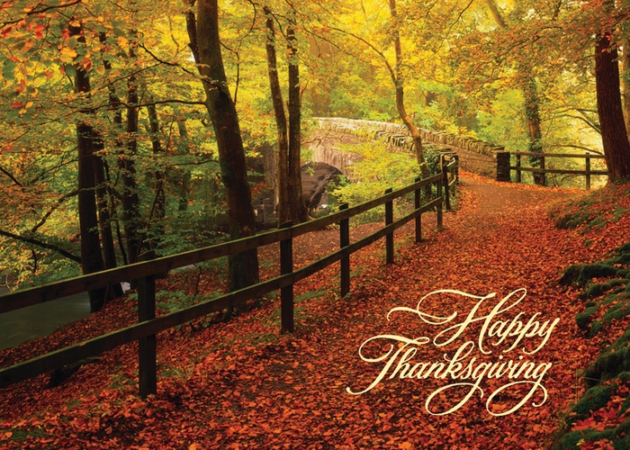 Leaf-Strewn Lane Thanksgiving Cards