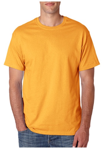 Hanes Heavyweight T-shirts