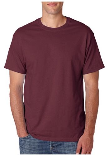 Hanes Heavyweight T-shirts