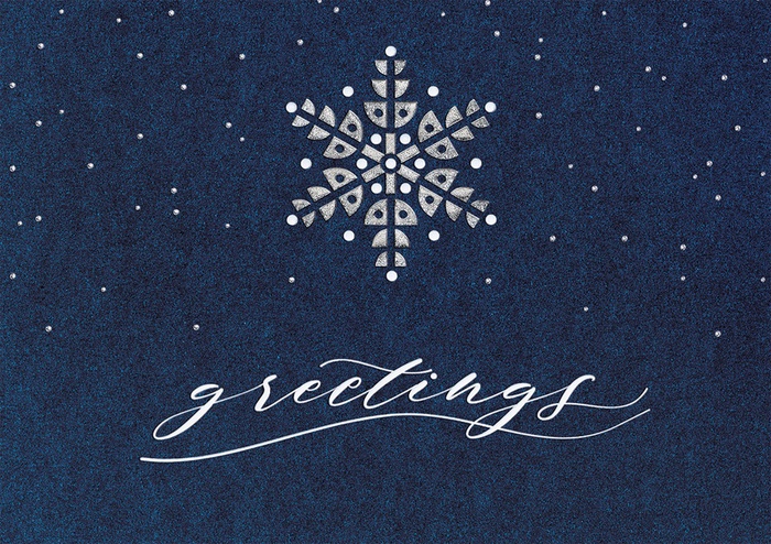 Starry Indigo Holiday Cards