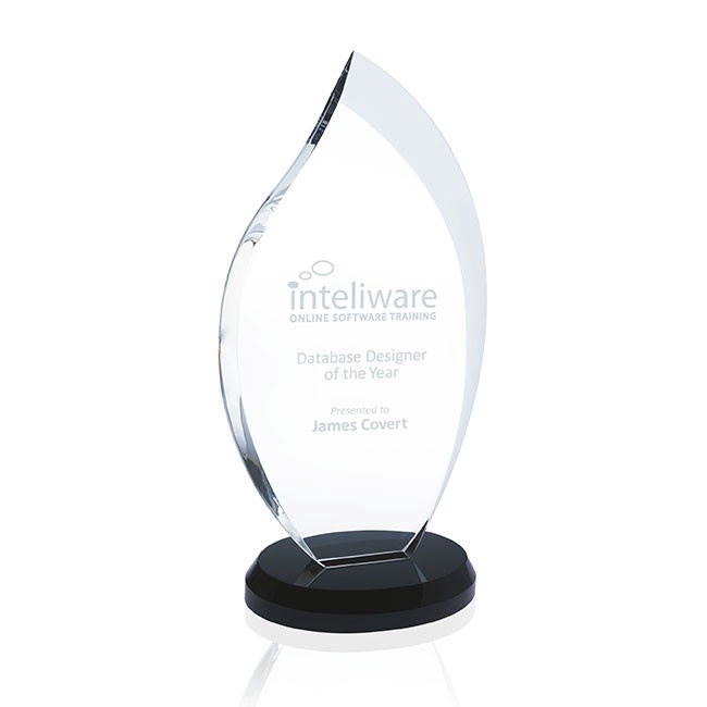 Custom Etched Innovation Award