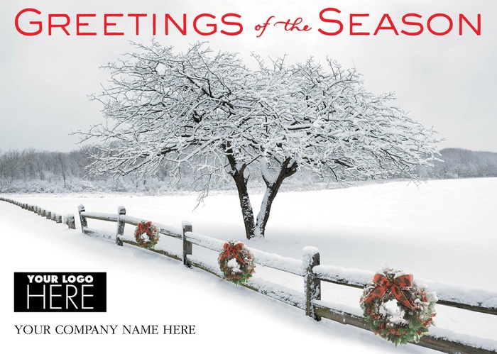 Winter's Appearance Holiday Logo Cards