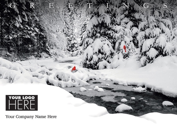 Creekside Cardinals Holiday Logo Cards