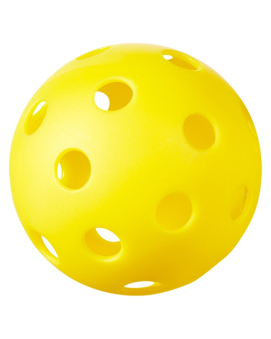 Indoor Pickleball Ball