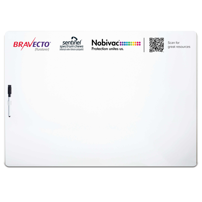 Write-On Wipe-Off Boards 27"w X 19" H