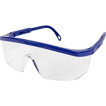 Integra Safety Glasses