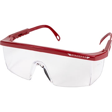 Integra Safety Glasses