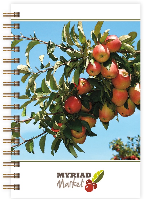 ImageBook SeminarPad