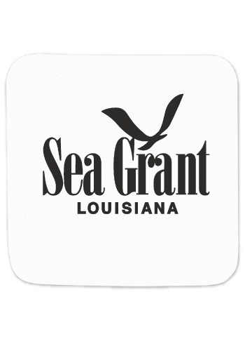 Square Promotional Foam Drink Coasters