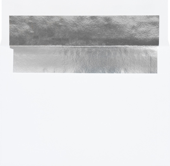 Starry Indigo Holiday Cards